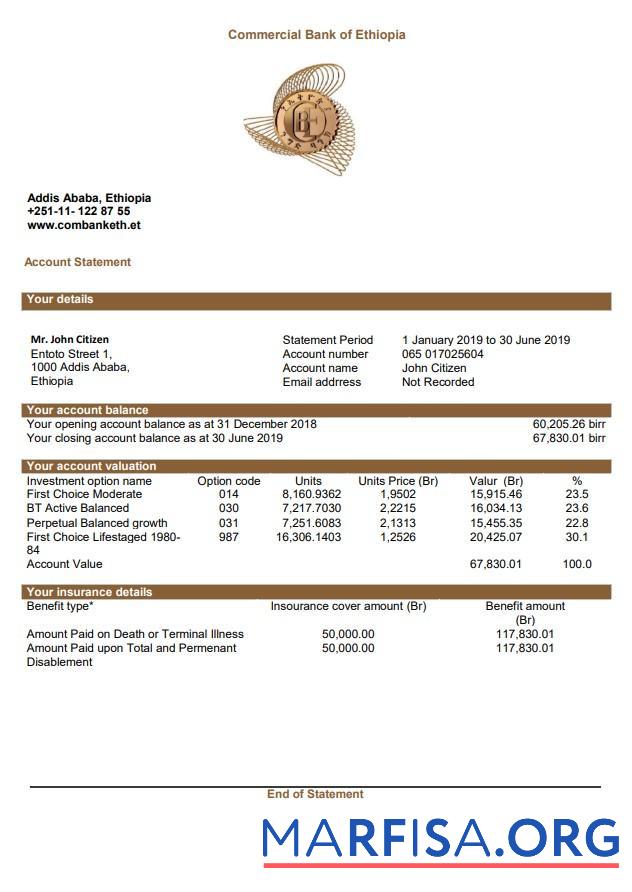 Blank Ethiopia Commercial Bank of Ethiopia bank statement word template